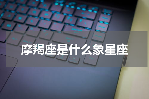 摩羯座是什么象星座
