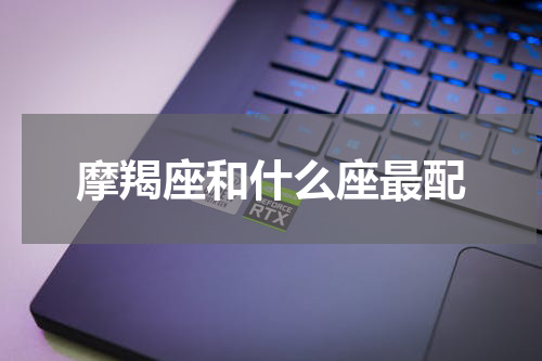 摩羯座和什么座最配