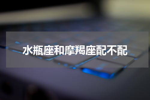 水瓶座和摩羯座配不配