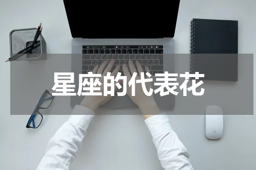 星座的代表花