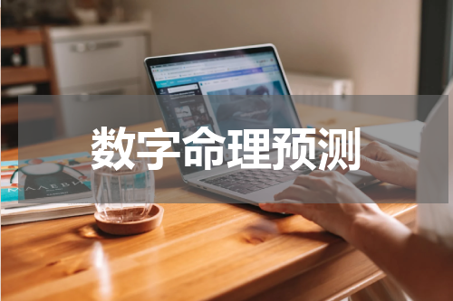 数字命理预测