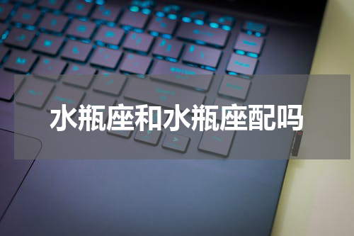 水瓶座和水瓶座配吗