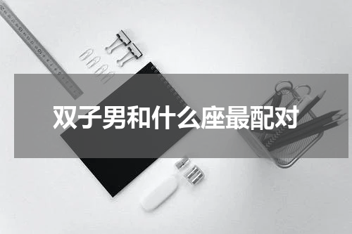 双子男和什么座最配对