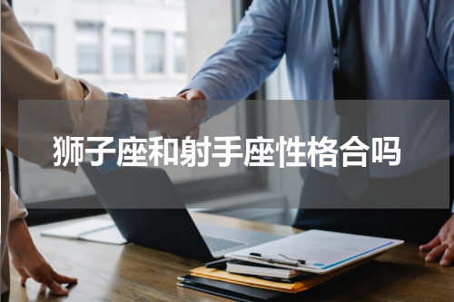 狮子座和射手座性格合吗