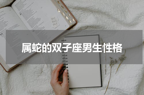 属蛇的双子座男生性格