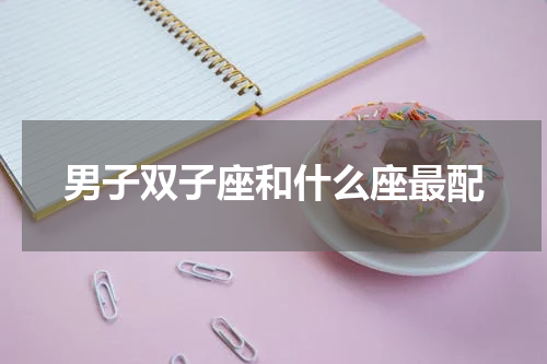 男子双子座和什么座最配