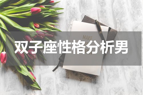 双子座性格分析男