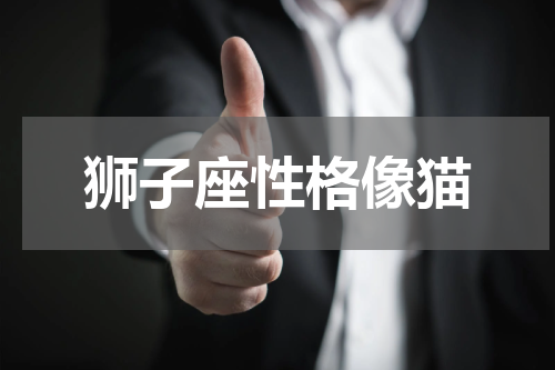 狮子座性格像猫