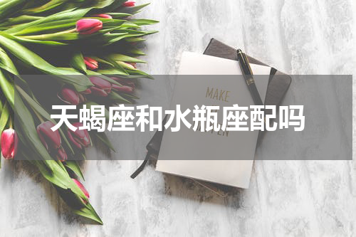 天蝎座和水瓶座配吗