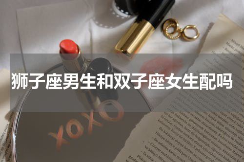 狮子座男生和双子座女生配吗