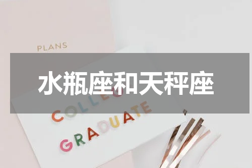 水瓶座和天秤座