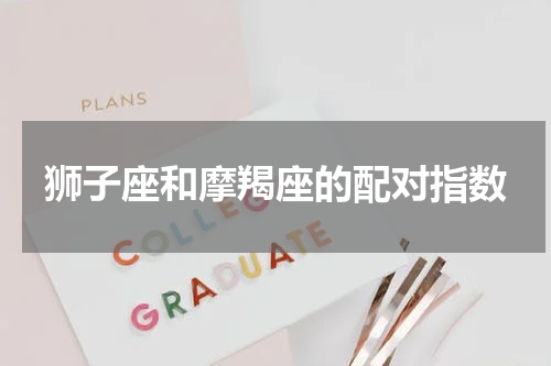 狮子座和摩羯座的配对指数