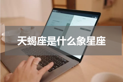 天蝎座是什么象星座