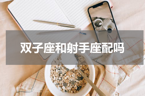 双子座和射手座配吗