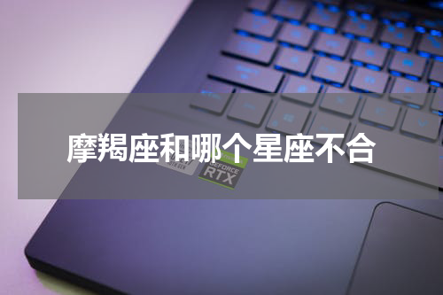 摩羯座和哪个星座不合