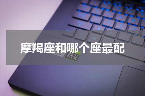 摩羯座和哪个座最配