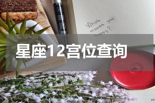 星座12宫位查询