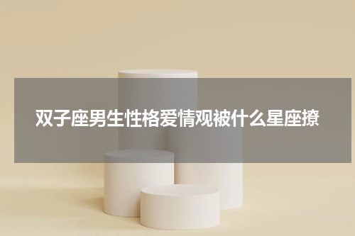 双子座男生性格爱情观被什么星座撩
