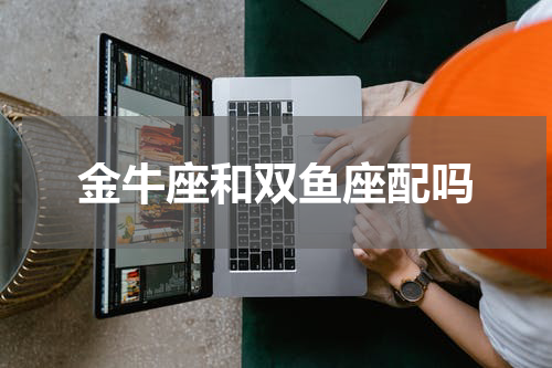 金牛座和双鱼座配吗