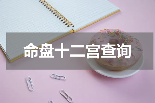 命盘十二宫查询