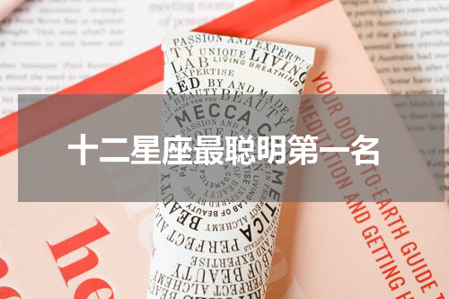 十二星座最聪明第一名