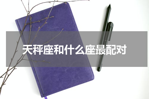 天秤座和什么座最配对