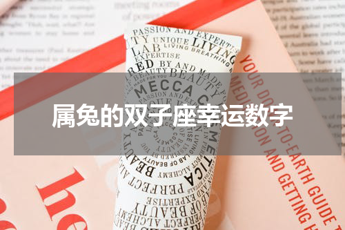 属兔的双子座幸运数字