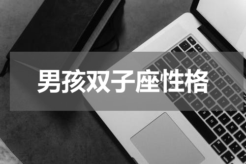 男孩双子座性格