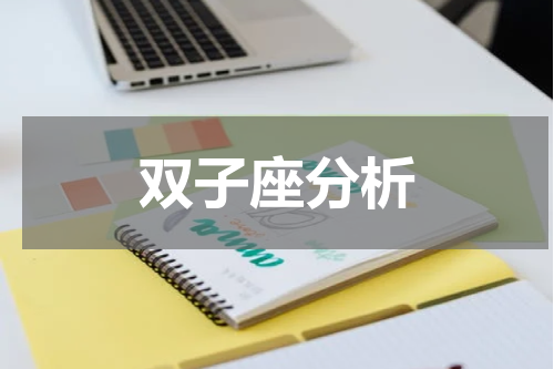 双子座分析