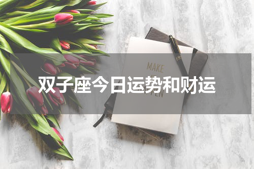 双子座今日运势和财运