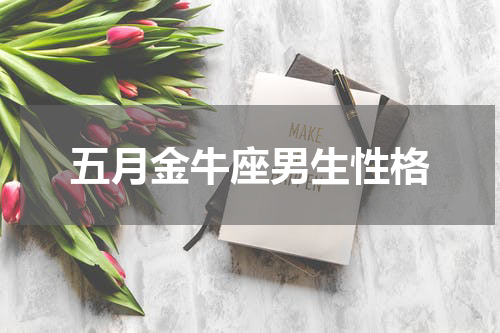 五月金牛座男生性格