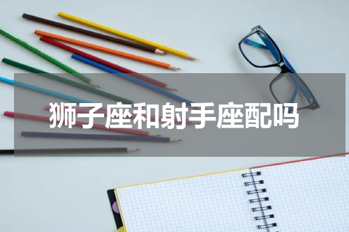 狮子座和射手座配吗