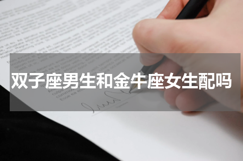 双子座男生和金牛座女生配吗