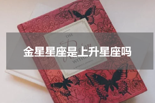 金星星座是上升星座吗