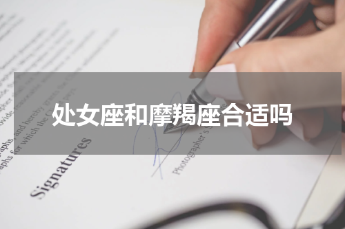 处女座和摩羯座合适吗