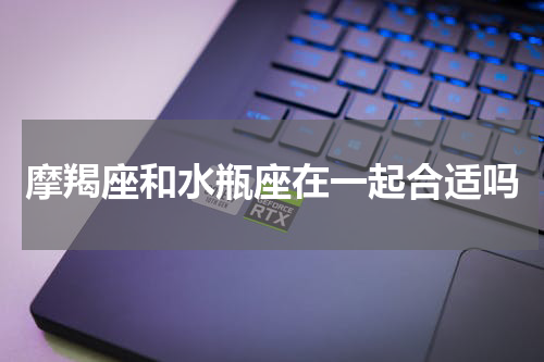 摩羯座和水瓶座在一起合适吗