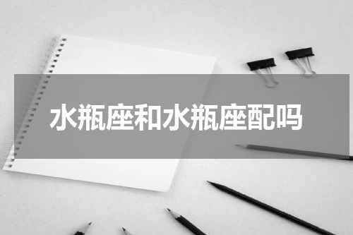 水瓶座和水瓶座配吗