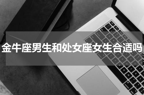 金牛座男生和处女座女生合适吗