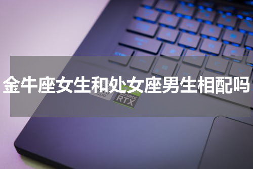 金牛座女生和处女座男生相配吗