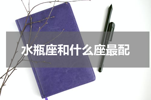 水瓶座和什么座最配