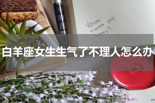 白羊座女生生气了不理人怎么办