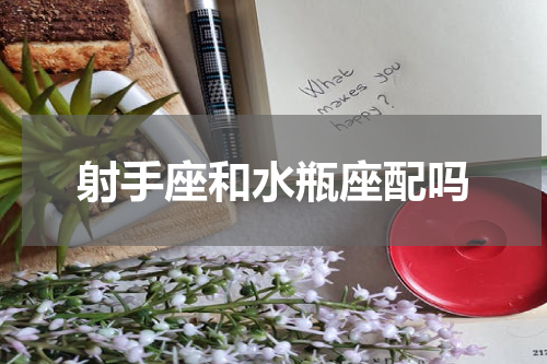 射手座和水瓶座配吗