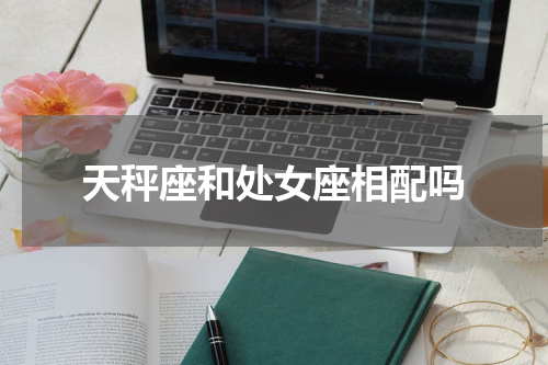 天秤座和处女座相配吗