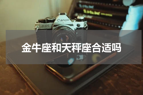 金牛座和天秤座合适吗