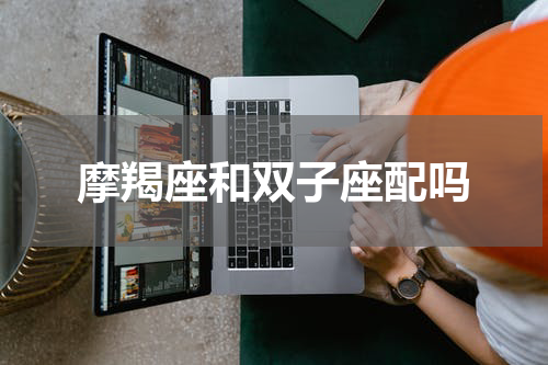 摩羯座和双子座配吗