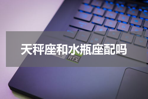 天秤座和水瓶座配吗