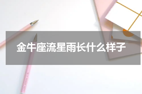 金牛座流星雨长什么样子