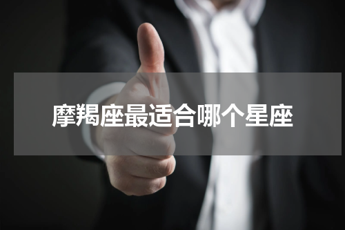 摩羯座最适合哪个星座