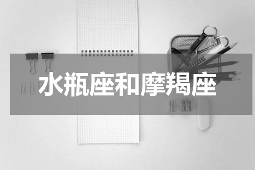 水瓶座和摩羯座