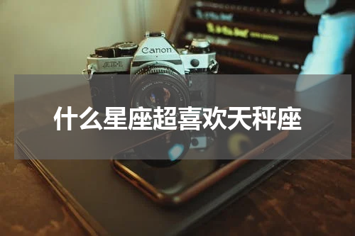 什么星座超喜欢天秤座